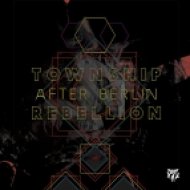 Township Rebellion - After Berlin (Original Mix)