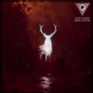 Vessel & Prime - Lost (Bonus Track)