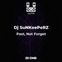 Dj SuNKeePeRZ - Past, Not Forget (Original mix)