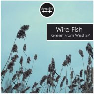 Wire Fish - Imaginary Zugzwang (Original Mix)