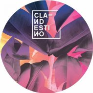 Clandestino - Wonder feat Private Agenda (Original mix)