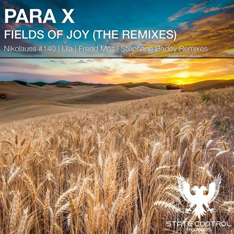 Para X - Fields Of Joy (Fredd Moz Remix)