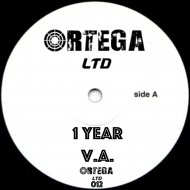 DAVID ORTEGA - Amazing (Original mix)