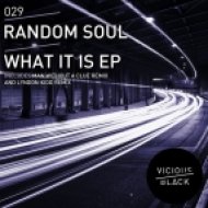 Random Soul - What It Is (Man Without A Clue Remix)