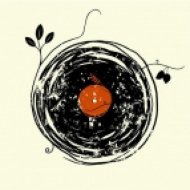 dimedroll - funky rhythm ()