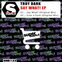 Troy Dark - Say What! (Original Mix)