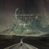 Seelennacht - Lovely Sins (Original mix)