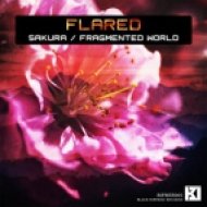 Flared - Fragmented World (Original mix)