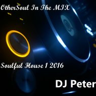 DJ Peter - OtherSoul In The MIX - Soulful House 1 2016 ()