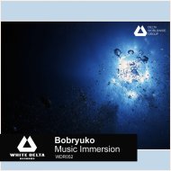 Bobryuko - Falling In Motion (Original Mix)