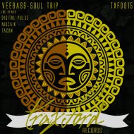 VeeBass - Soul Trip (Original Mix)