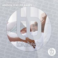 Amoon, Pit Bailey - Since You\'ve Been Gone feat. Pit Bailey (Edit)