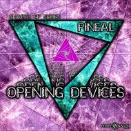 Pineal - A Key To Voynich (Original mix)