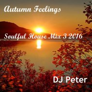 DJ Peter - Autumn Feelings - Soulful House Mix 3 2016 ()