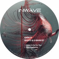 Ghini-B - Down Is Up For You (Original Mix)