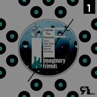 Imaginary Friends - Cherish The Moment (Original Mix)