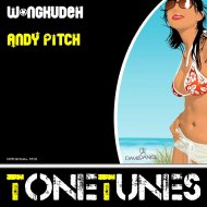 Andy Pitch - Wongkudeh (Original mix)