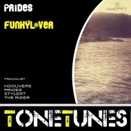 Funkylover - Hoouvers (Original mix)