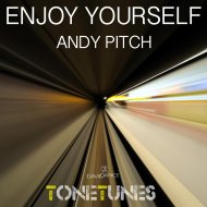 Andy Pitch - Enjoy Yourself (Original mix)