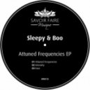 Sleepy & Boo - Attuned Frequencies (Original Mix)