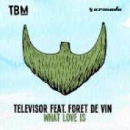 Televisor Ft. Foret De Vin - What Love Is (Extended Mix)