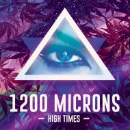 1200 Microns - Skywalker OG (Original Mix)