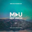 Infected Mushroom - I Wish (Alok & FractaLL Remix)