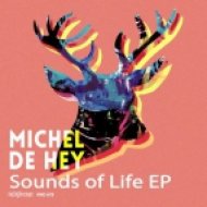 Michel De Hey - Velavive (Original Mix)