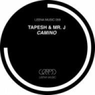 Tapesh & Mr. J feat. Nacho Lezcano - Camino (Original Mix)