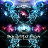 Serenity Flux - Reality Checkpoint (Original Mix)