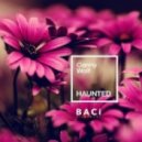 Conny Wolf - Haunted (Original Mix)