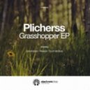 Plicherss - Pleasure (Original Mix)