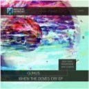 Guhus - When The Doves Cry (Sam Scheme Remix)