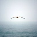 KastomariN - Flying (Original Mix)