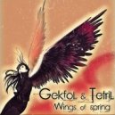 Gekfol & Tetril - Wings of Spring (Mix) (Original Mix)
