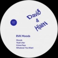David & Hjalti - Whatever You Want (Original Mix)
