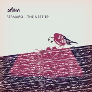 Repajaro - Nai No Nain 909 (Original mix)