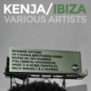 Wise D & Kobe - How You Feel (Original Mix)