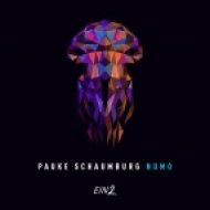 Pauke Schaumburg - Spirit (Original Mix)