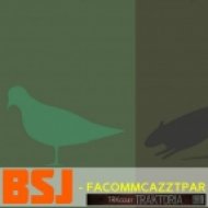 BSJ - Facommcazztpar (Original Mix)
