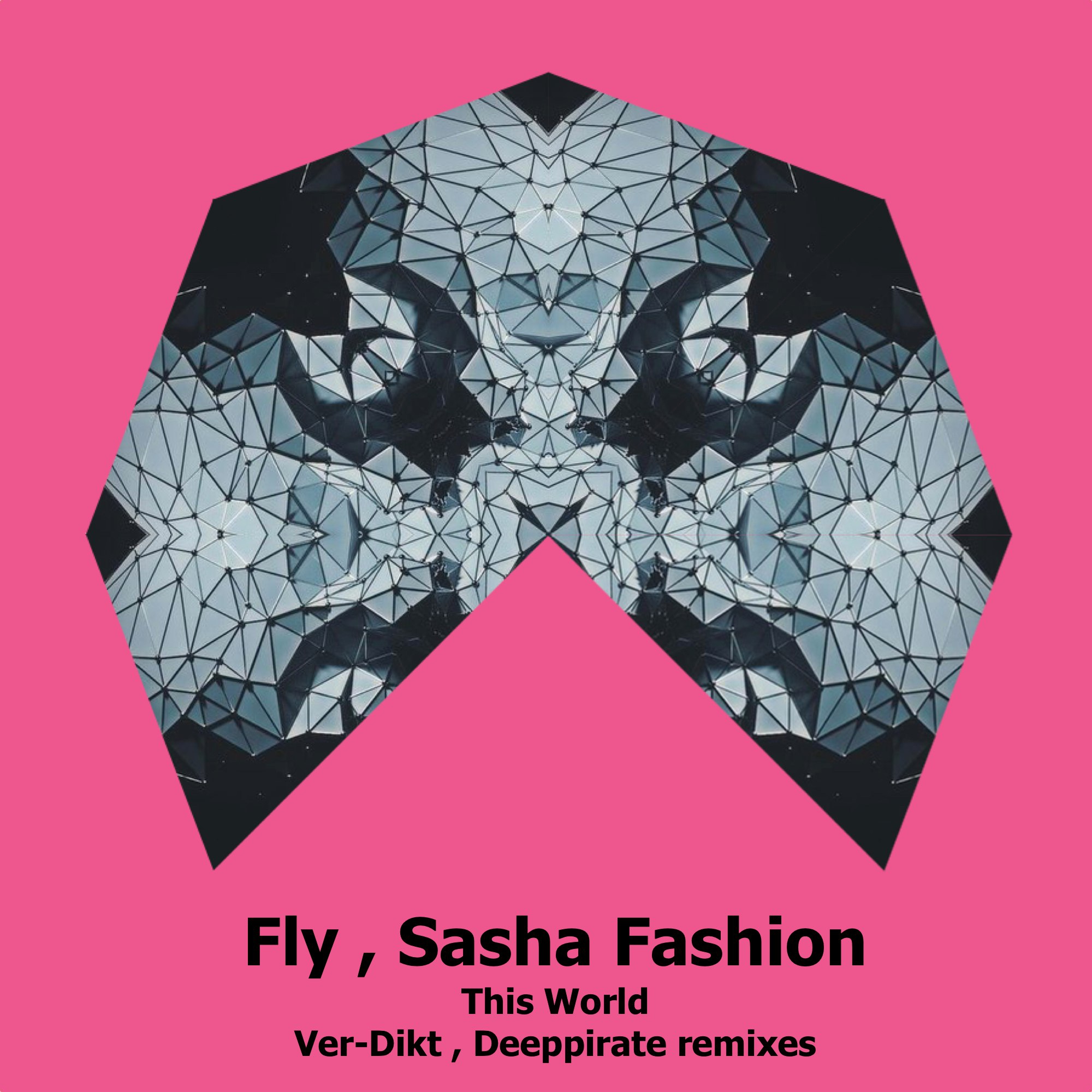 Fly & Sasha Fashion - This World (Ver-Dikt Remix)