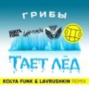 Грибы - Тает лёд (Kolya Funk & Lavrushkin Remix) (Kolya Funk & Lavrushkin Remix)
