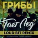 Грибы - Тает Лёд (Loud Bit Remix) (Remix)