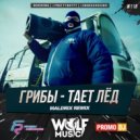 Грибы - Тает Лёд (Maldrix Radio Remix)