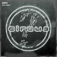 Shapes - What\'s It Gonna Be (Original Mix)