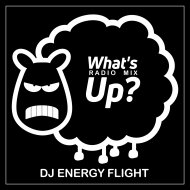 Dj Energy Flight - What\'s Up? (Radio Mix)