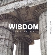 Seryoga Force - Wisdom (Original Mix)