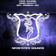 Egor Shlegel - Hiden Reality (Original Mix)