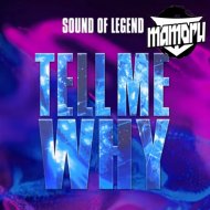 Sound of Legend x Frost - Tell Me Why (Mamoru Mash - Up)