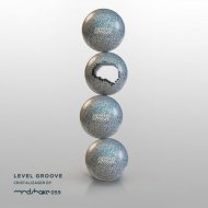 Level Groove - Danzashake (2019 Remastered)